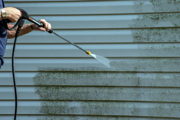 Best Pressure Washing Siding  in Clarendon Hls, IL